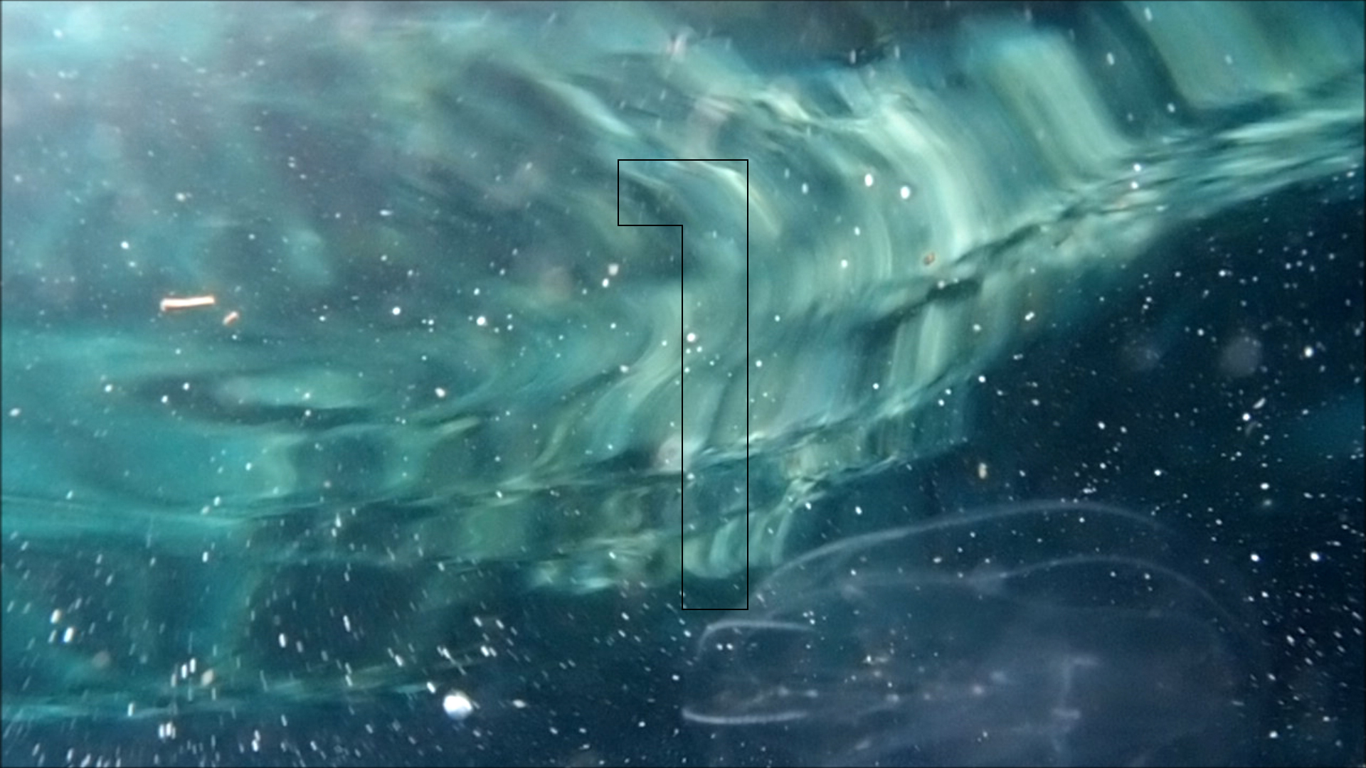 2022-04-14 Am Strand und im Wasser (Quallenvideo, Stills & Numbers) (Typo Grafik, Video)