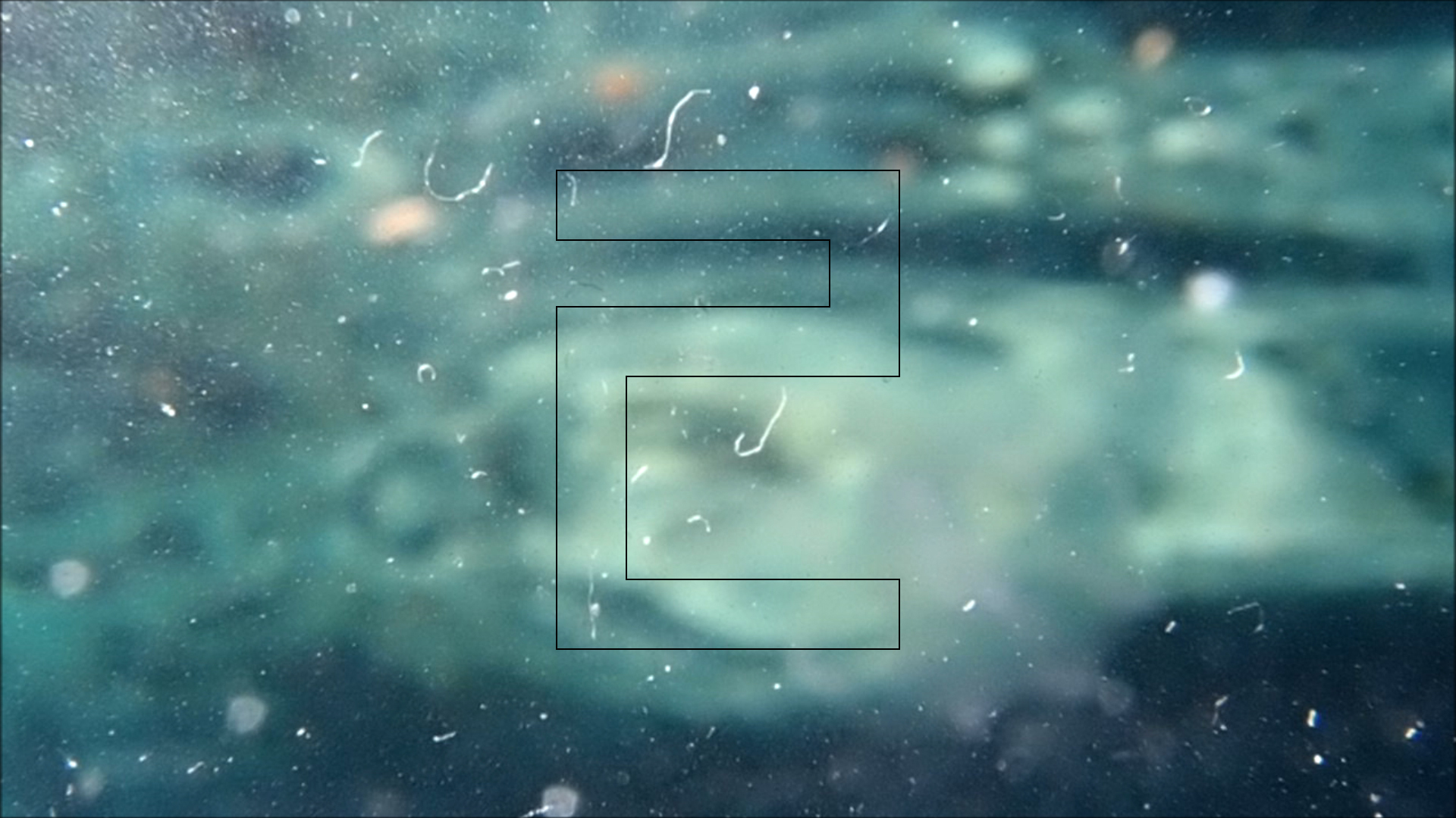 2022-04-14 Am Strand und im Wasser (Quallenvideo, Stills & Numbers) (Typo Grafik, Video)