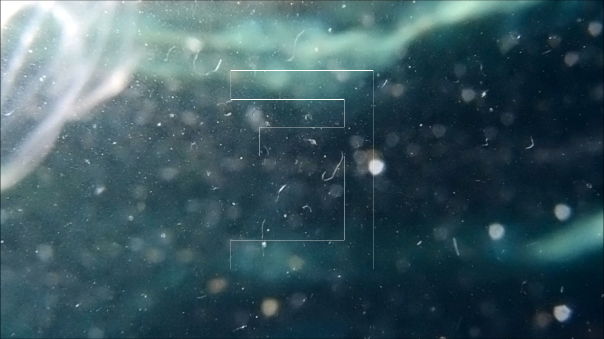 2022-04-14 Am Strand und im Wasser (Quallenvideo, Stills & Numbers) (Typo Grafik, Video)