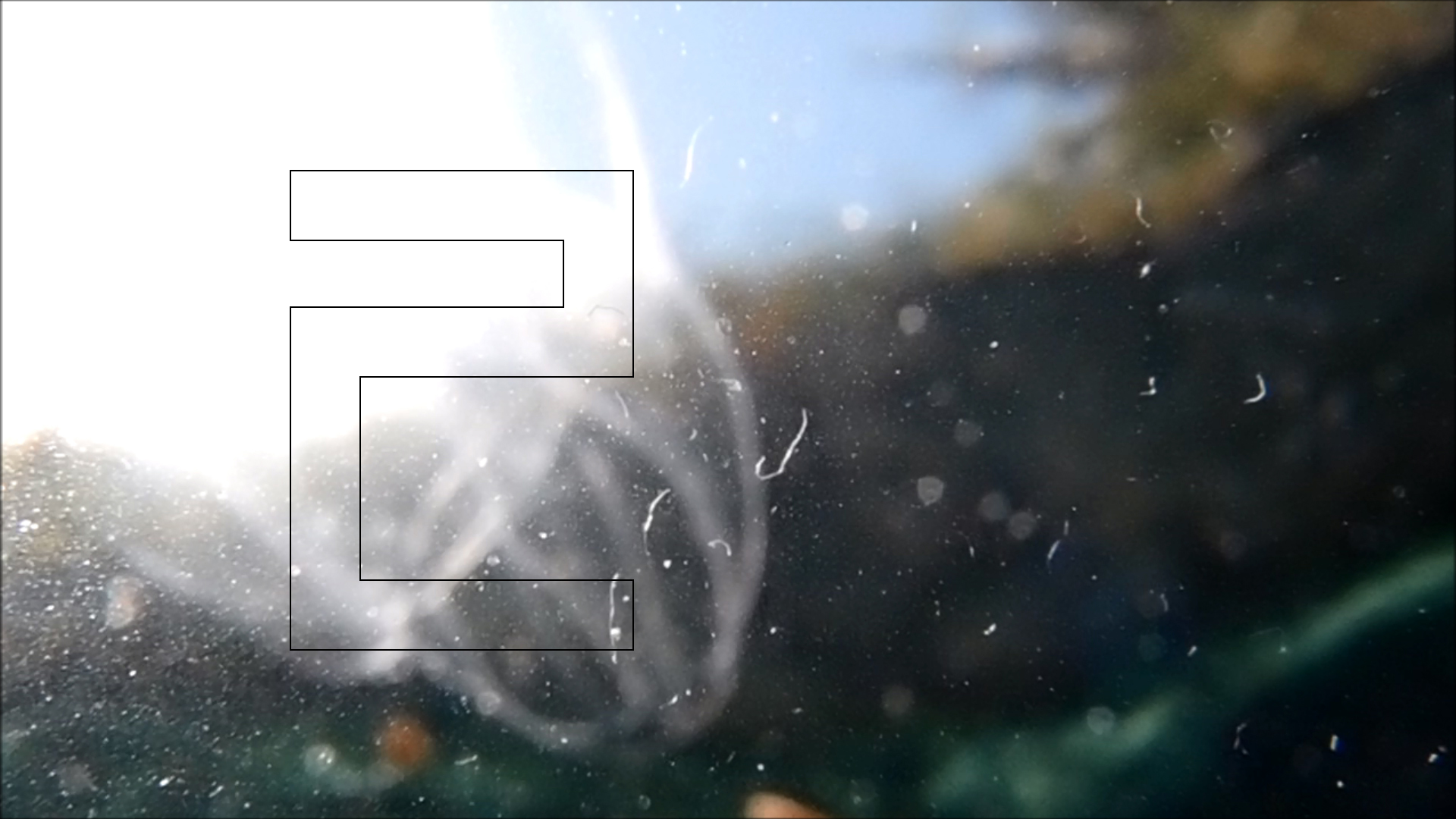 2022-04-14 Am Strand und im Wasser (Quallenvideo, Stills & Numbers) (Typo Grafik, Video)