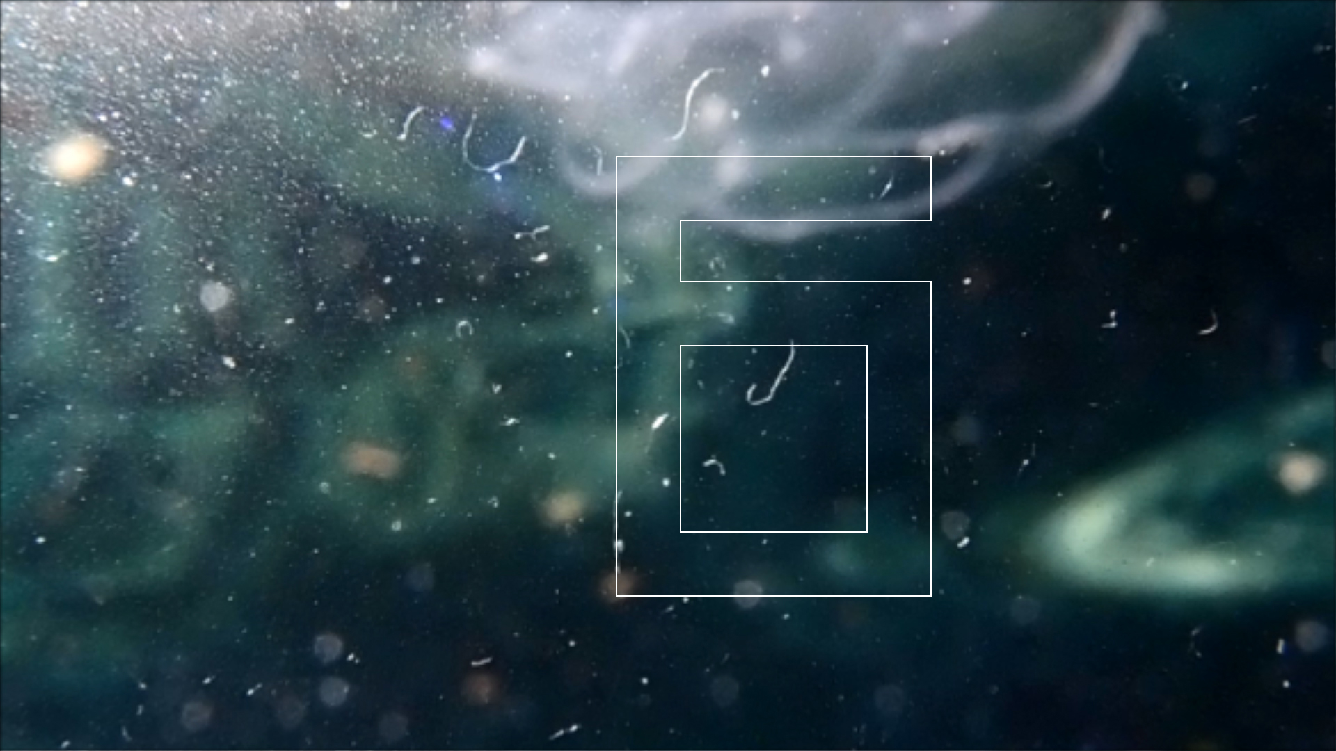 2022-04-14 Am Strand und im Wasser (Quallenvideo, Stills & Numbers) (Typo Grafik, Video)