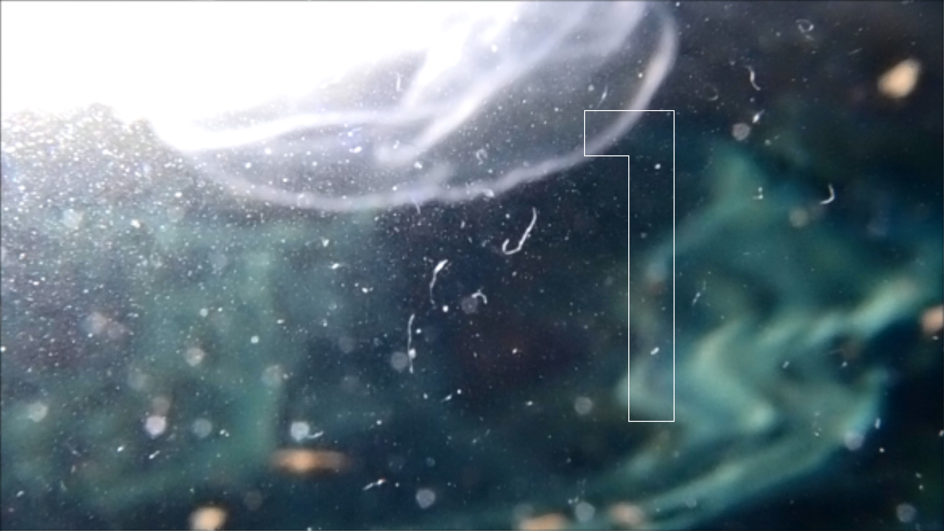 2022-04-14 Am Strand und im Wasser (Quallenvideo, Stills & Numbers) (Typo Grafik, Video)