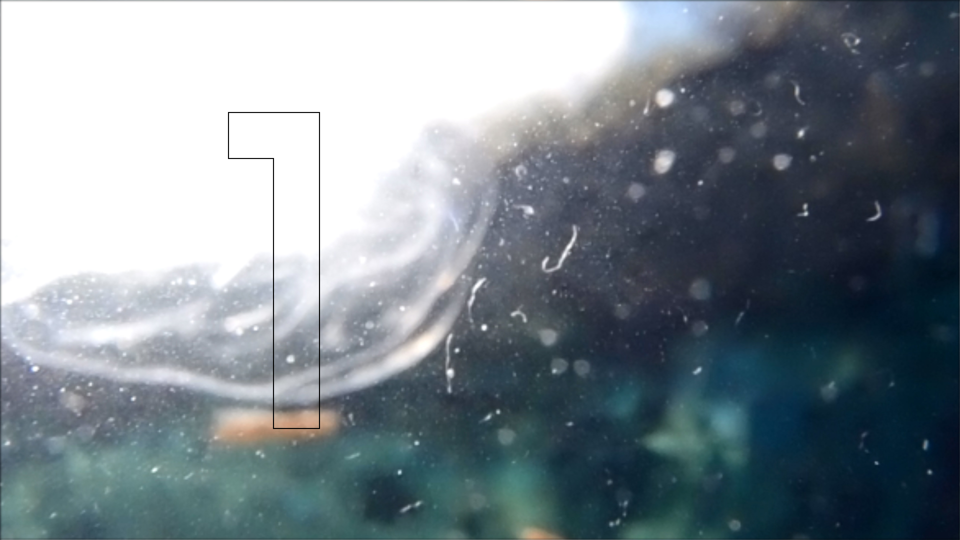 2022-04-14 Am Strand und im Wasser (Quallenvideo, Stills & Numbers) (Typo Grafik, Video)