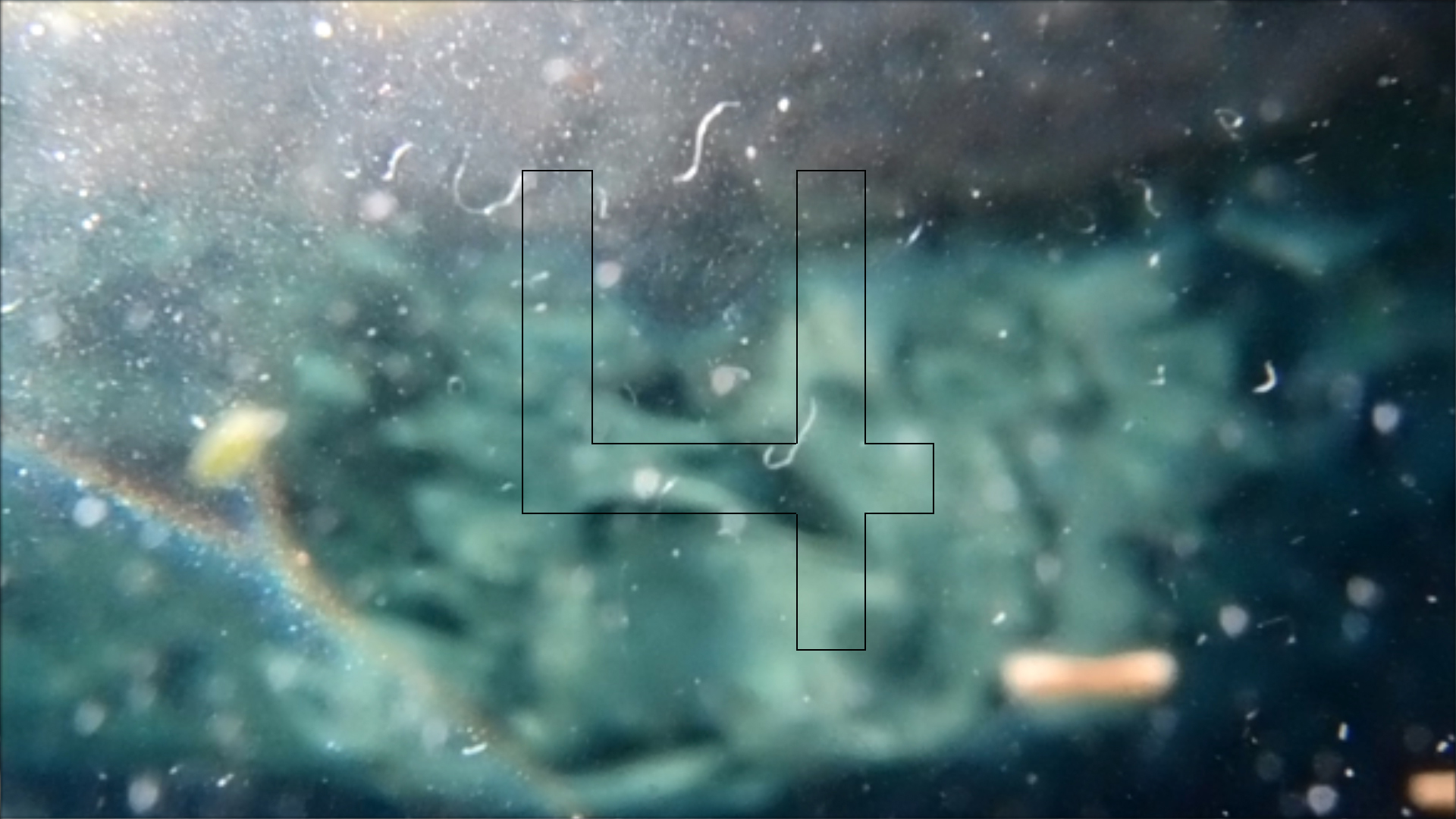 2022-04-14 Am Strand und im Wasser (Quallenvideo, Stills & Numbers) (Typo Grafik, Video)