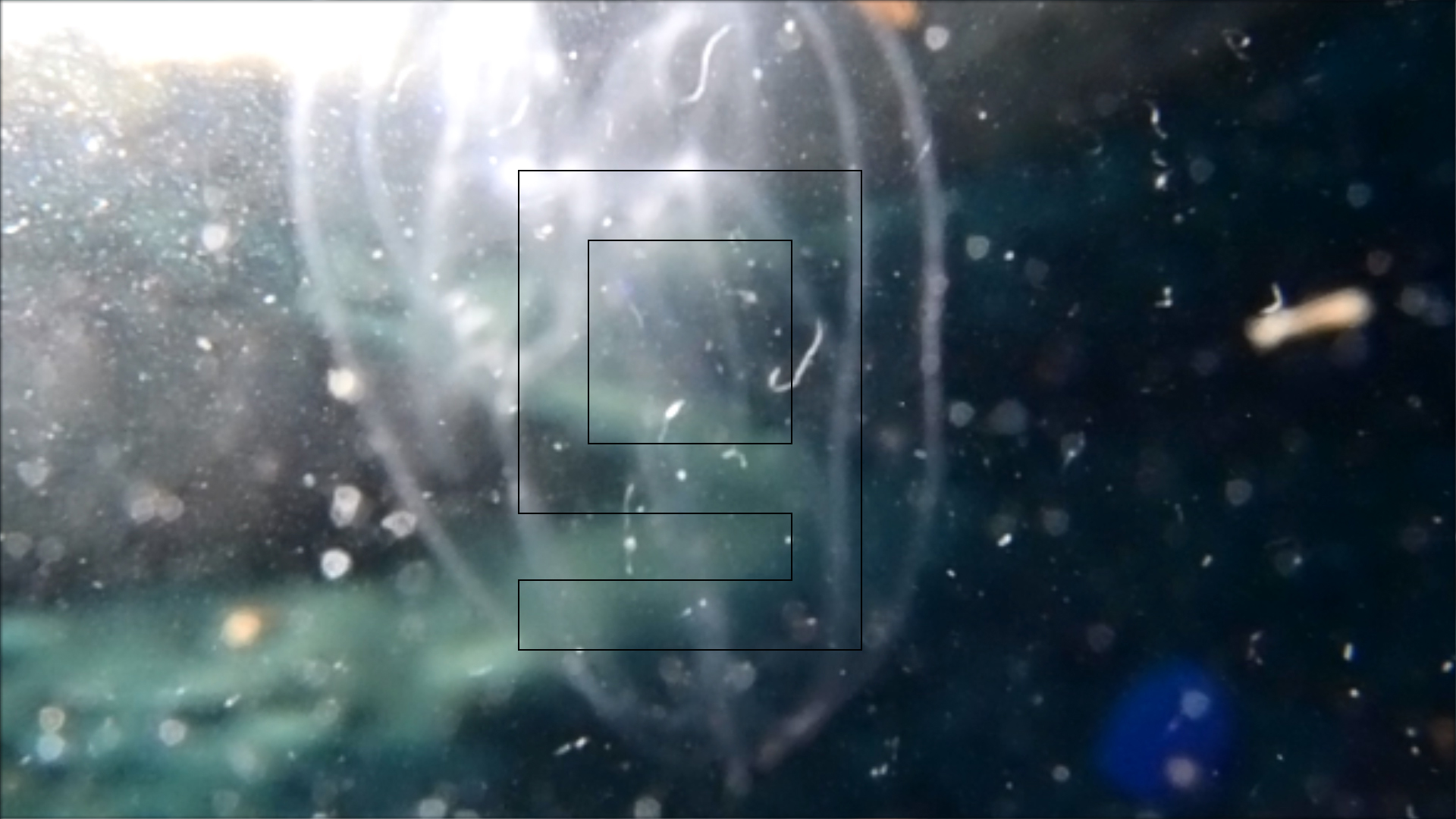 2022-04-14 Am Strand und im Wasser (Quallenvideo, Stills & Numbers) (Typo Grafik, Video)