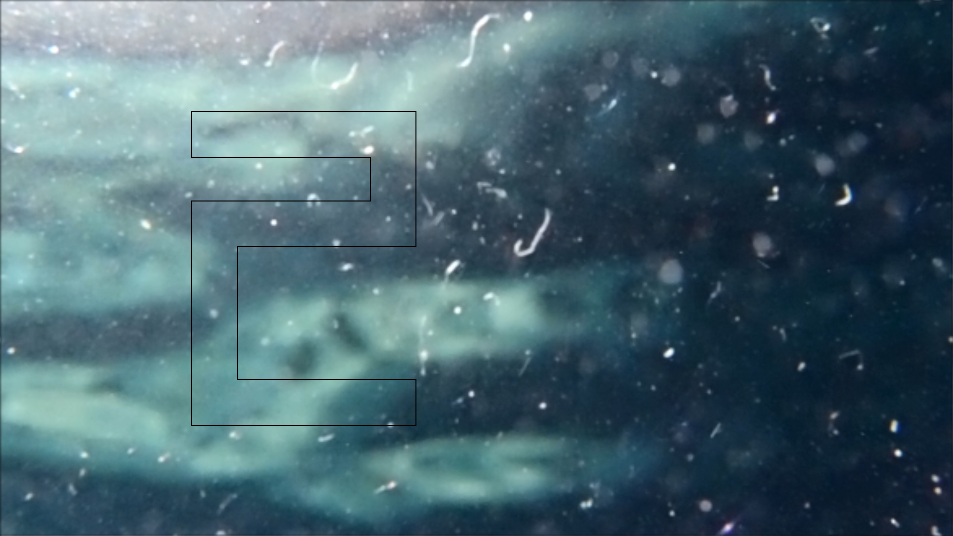 2022-04-14 Am Strand und im Wasser (Quallenvideo, Stills & Numbers) (Typo Grafik, Video)