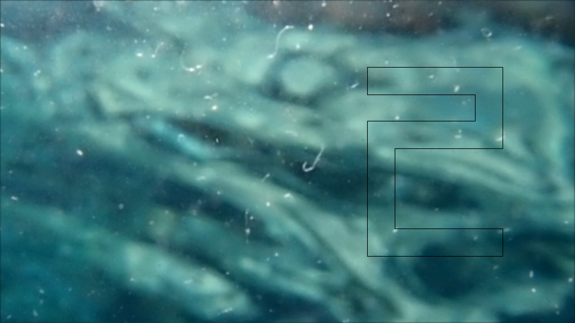 2022-04-14 Am Strand und im Wasser (Quallenvideo, Stills & Numbers) (Typo Grafik, Video)