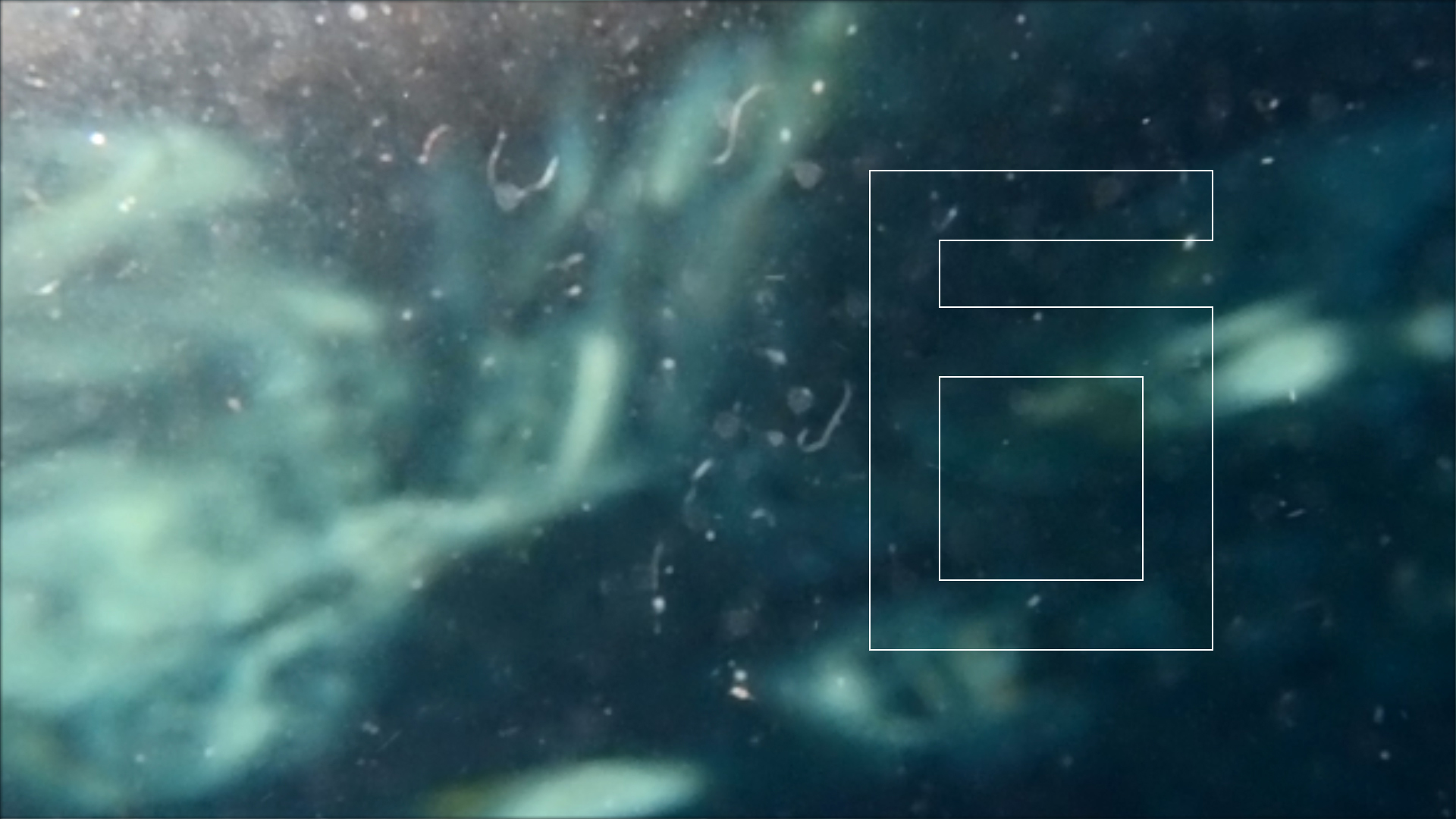 2022-04-14 Am Strand und im Wasser (Quallenvideo, Stills & Numbers) (Typo Grafik, Video)