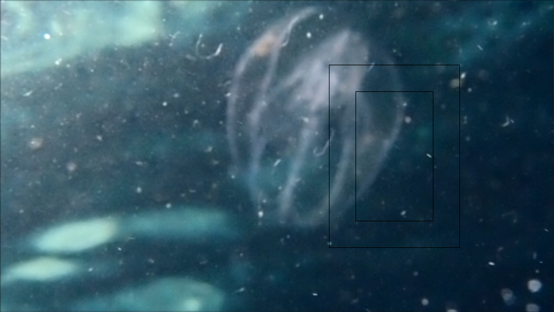 2022-04-14 Am Strand und im Wasser (Quallenvideo, Stills & Numbers) (Typo Grafik, Video)