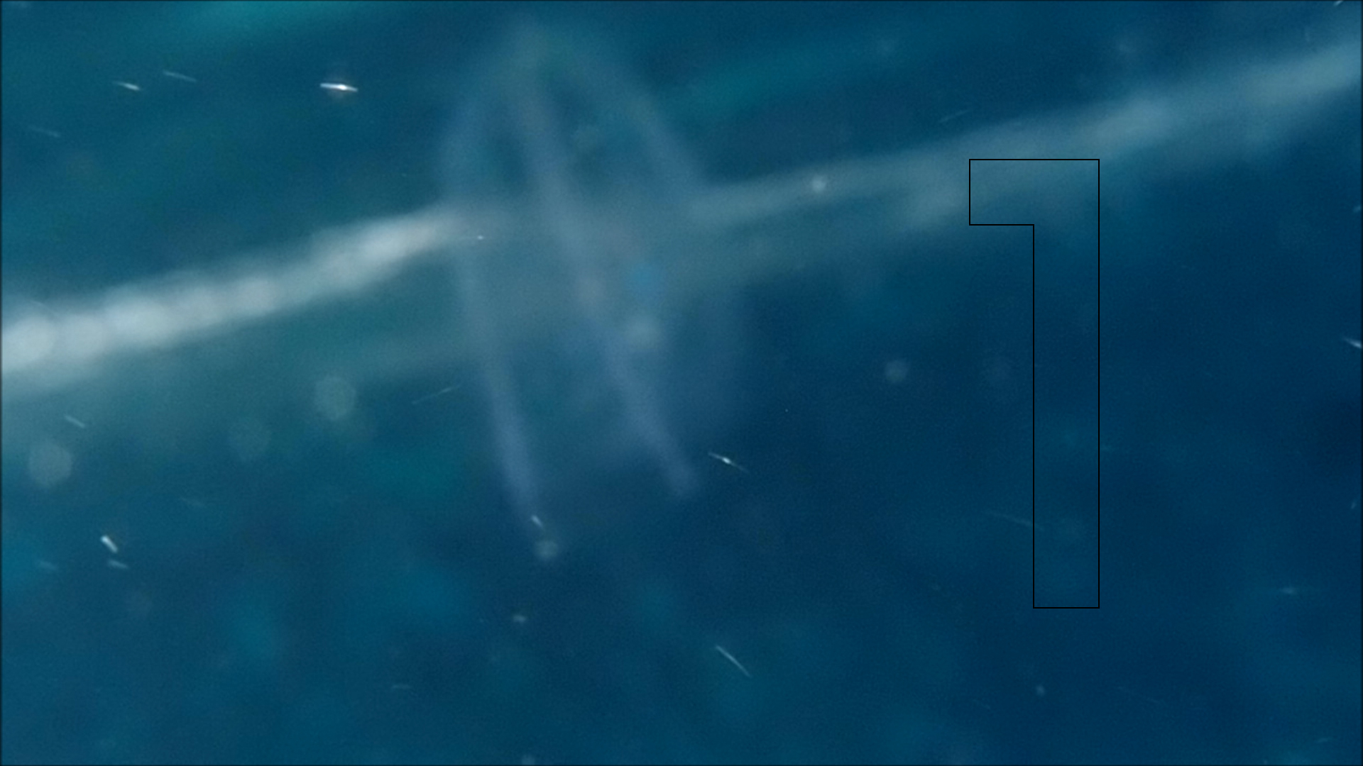 2022-04-14 Am Strand und im Wasser (Quallenvideo, Stills & Numbers) (Typo Grafik, Video)