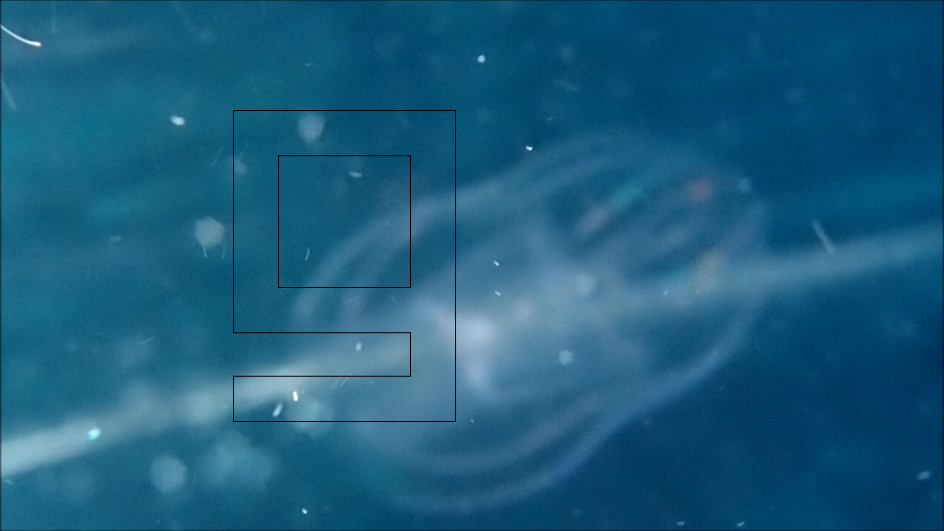 2022-04-14 Am Strand und im Wasser (Quallenvideo, Stills & Numbers) (Typo Grafik, Video)