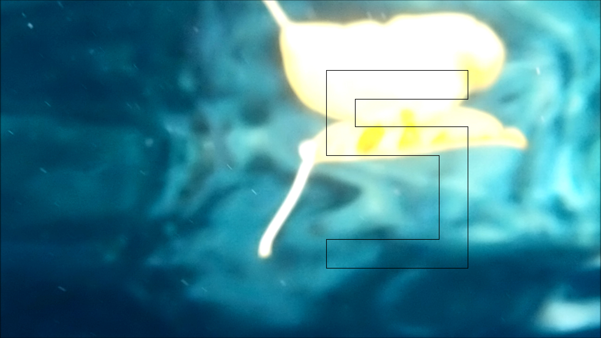 2022-04-14 Am Strand und im Wasser (Quallenvideo, Stills & Numbers) (Typo Grafik, Video)