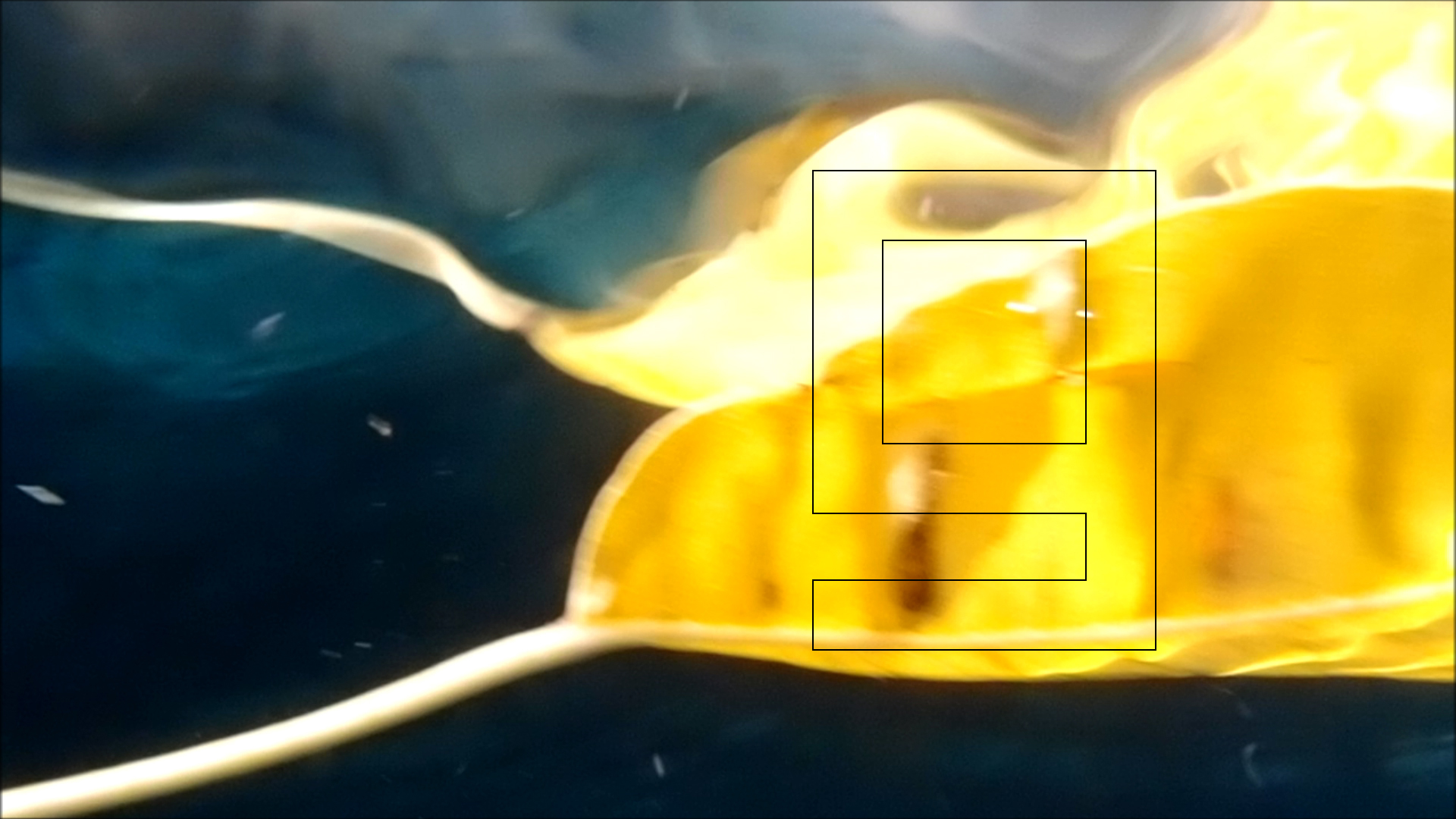 2022-04-14 Am Strand und im Wasser (Quallenvideo, Stills & Numbers) (Typo Grafik, Video)