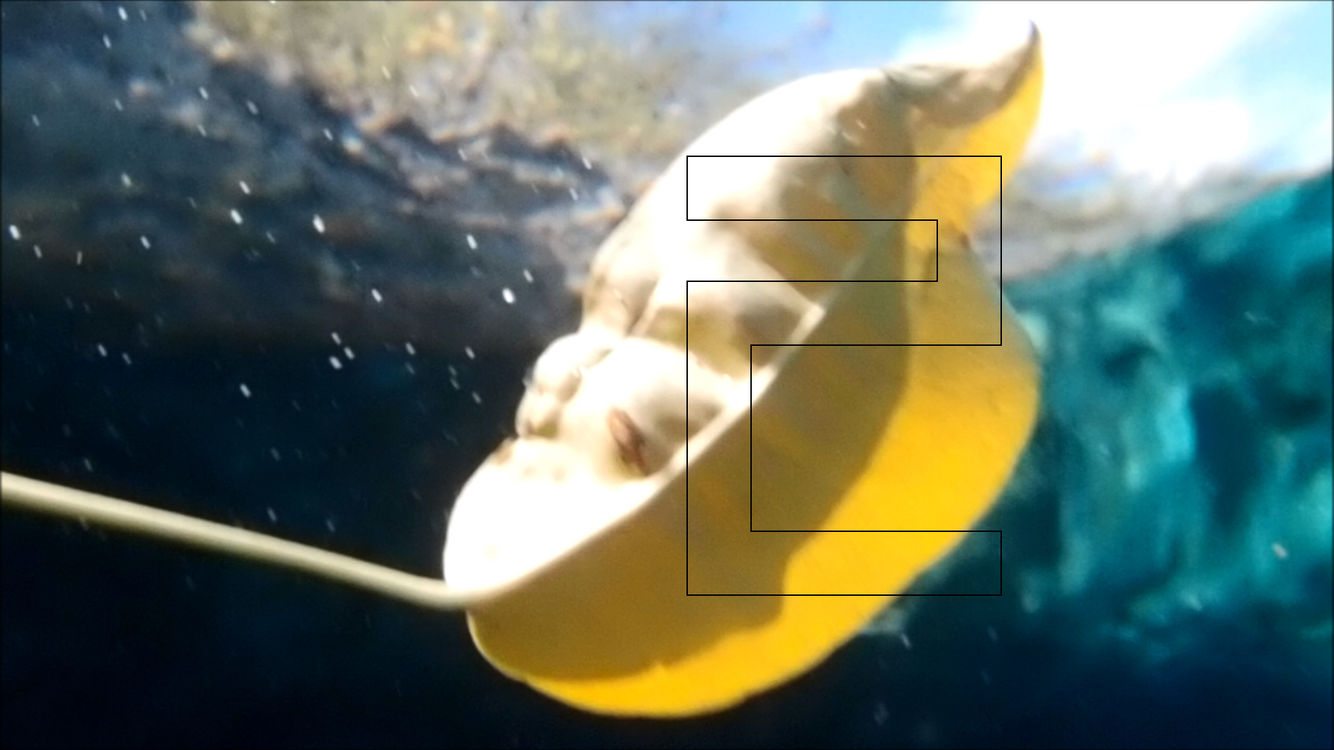 2022-04-14 Am Strand und im Wasser (Quallenvideo, Stills & Numbers) (Typo Grafik, Video)