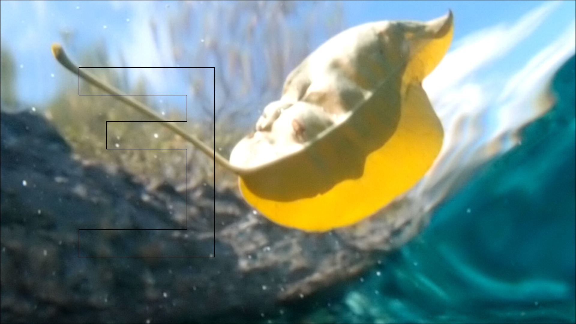 2022-04-14 Am Strand und im Wasser (Quallenvideo, Stills & Numbers) (Typo Grafik, Video)