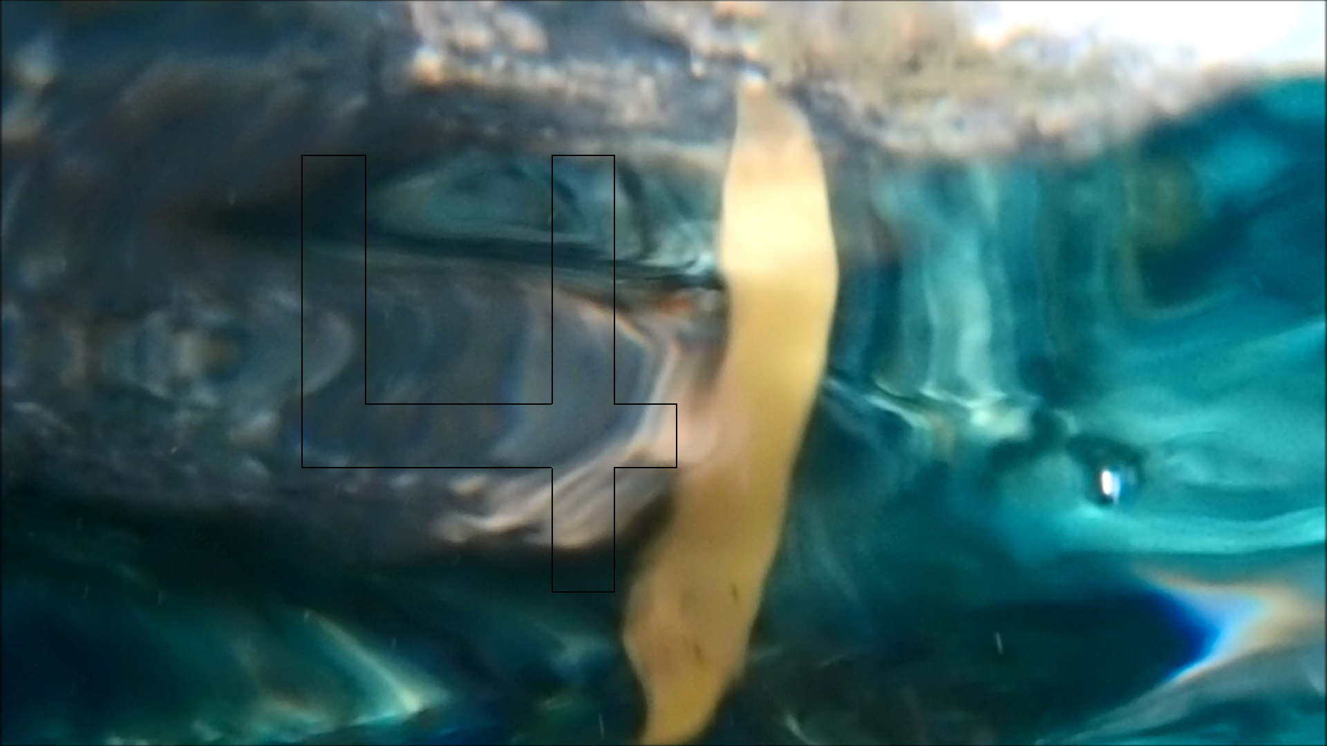 2022-04-14 Am Strand und im Wasser (Quallenvideo, Stills & Numbers) (Typo Grafik, Video)