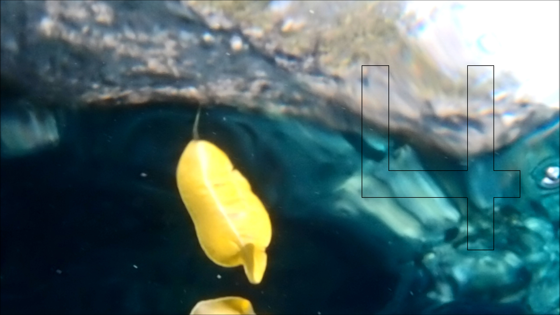 2022-04-14 Am Strand und im Wasser (Quallenvideo, Stills & Numbers) (Typo Grafik, Video)