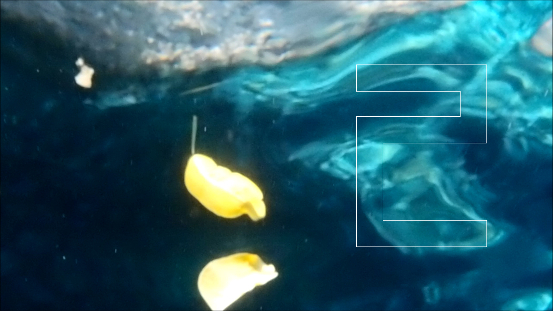 2022-04-14 Am Strand und im Wasser (Quallenvideo, Stills & Numbers) (Typo Grafik, Video)