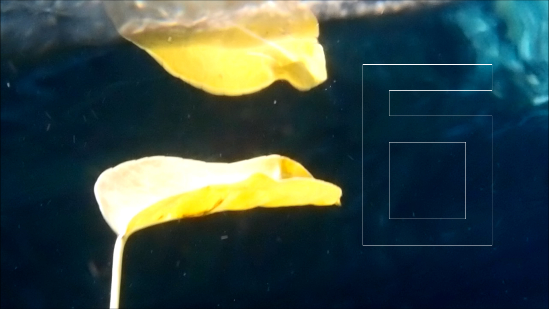 2022-04-14 Am Strand und im Wasser (Quallenvideo, Stills & Numbers) (Typo Grafik, Video)