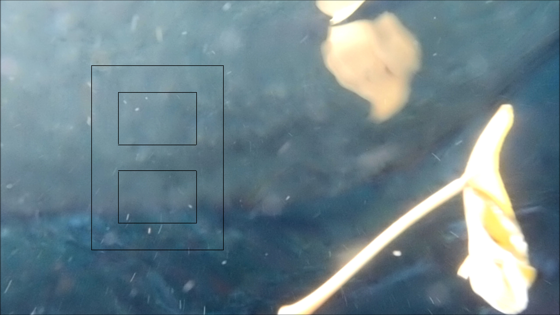 2022-04-14 Am Strand und im Wasser (Quallenvideo, Stills & Numbers) (Typo Grafik, Video)