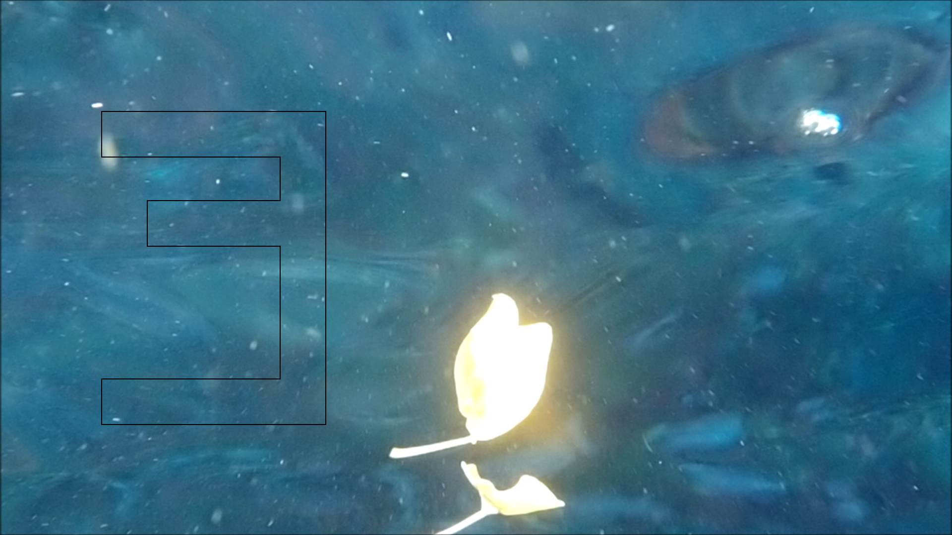 2022-04-14 Am Strand und im Wasser (Quallenvideo, Stills & Numbers) (Typo Grafik, Video)