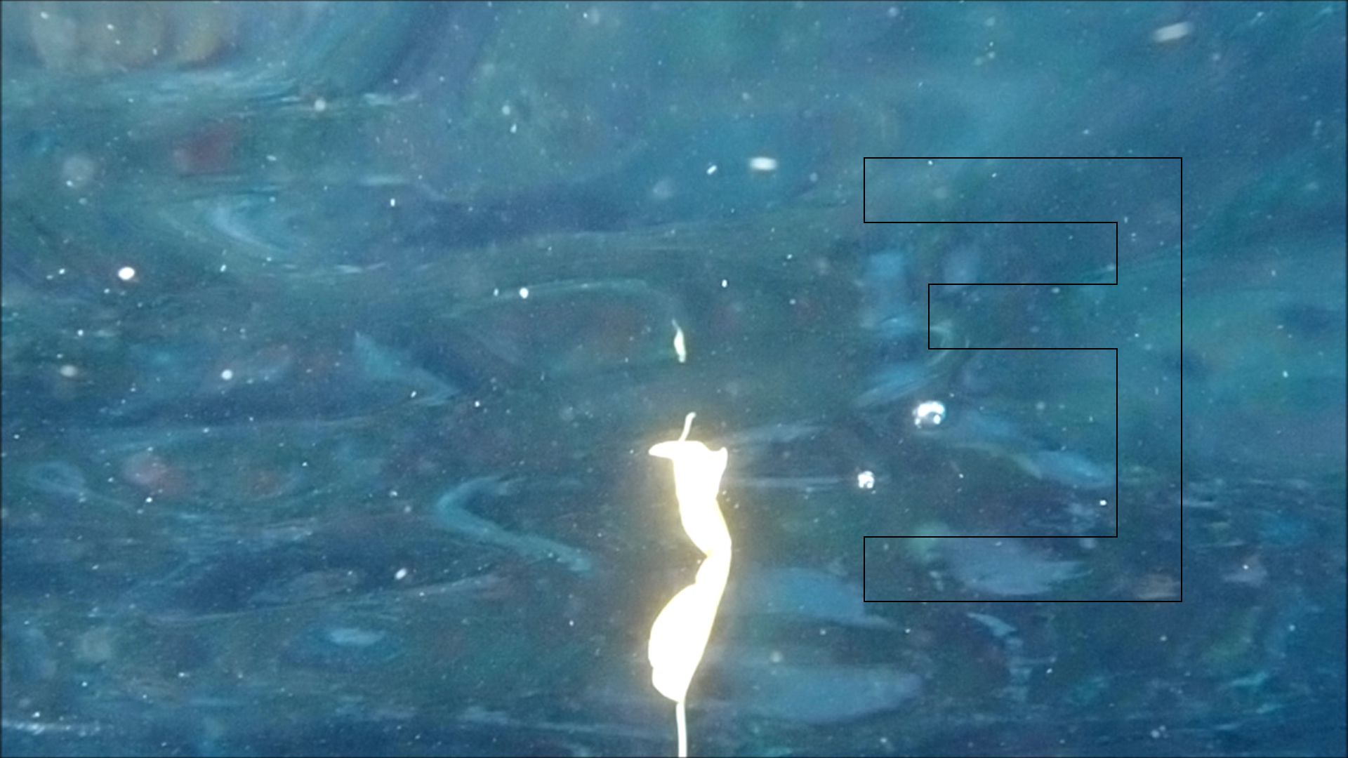 2022-04-14 Am Strand und im Wasser (Quallenvideo, Stills & Numbers) (Typo Grafik, Video)