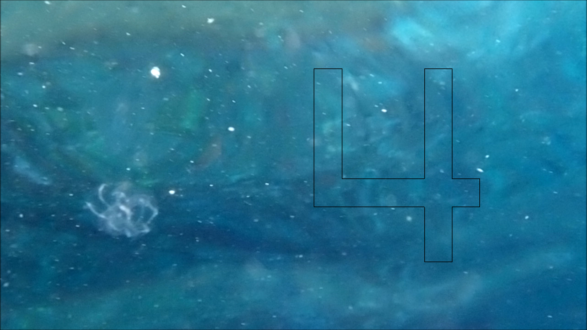 2022-04-14 Am Strand und im Wasser (Quallenvideo, Stills & Numbers) (Typo Grafik, Video)