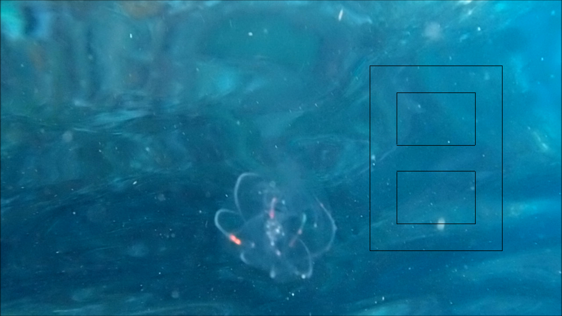 2022-04-14 Am Strand und im Wasser (Quallenvideo, Stills & Numbers) (Typo Grafik, Video)