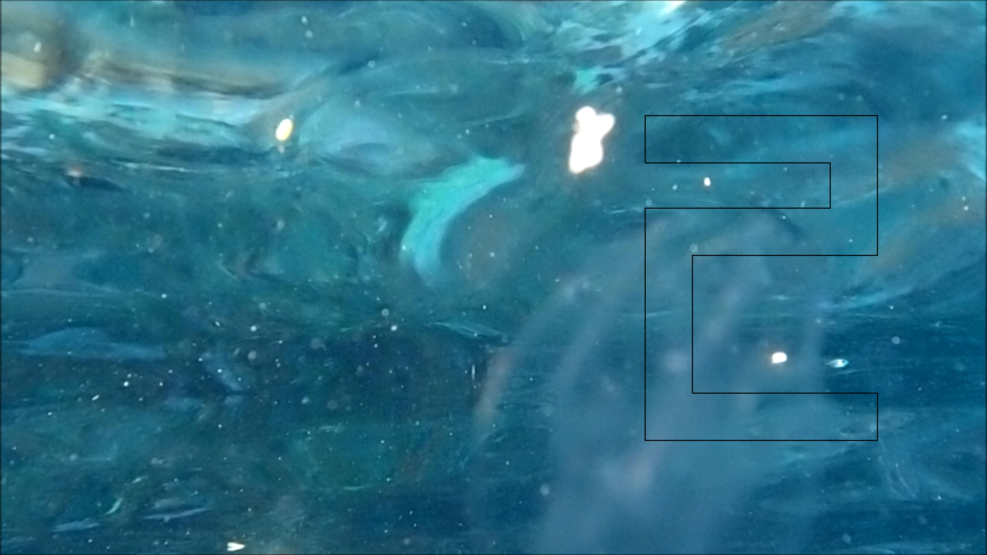 2022-04-14 Am Strand und im Wasser (Quallenvideo, Stills & Numbers) (Typo Grafik, Video)