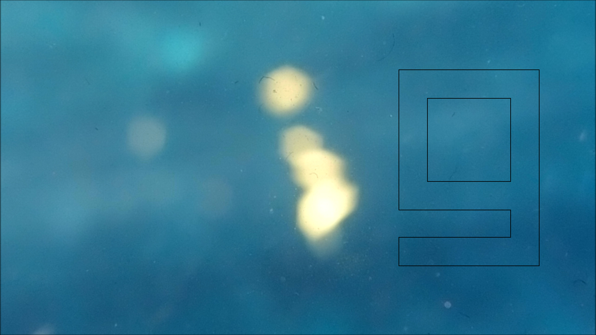 2022-04-14 Am Strand und im Wasser (Quallenvideo, Stills & Numbers) (Typo Grafik, Video)