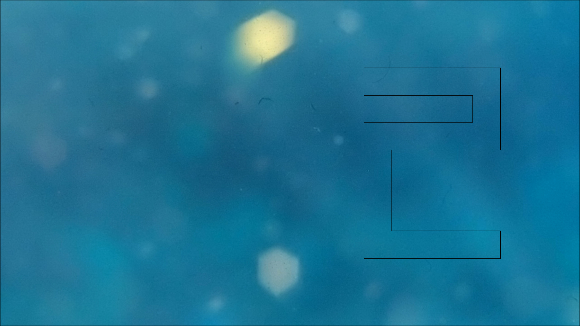 2022-04-14 Am Strand und im Wasser (Quallenvideo, Stills & Numbers) (Typo Grafik, Video)