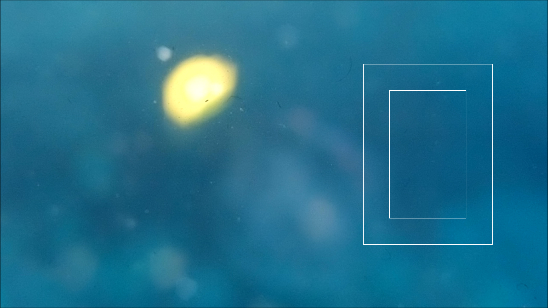 2022-04-14 Am Strand und im Wasser (Quallenvideo, Stills & Numbers) (Typo Grafik, Video)