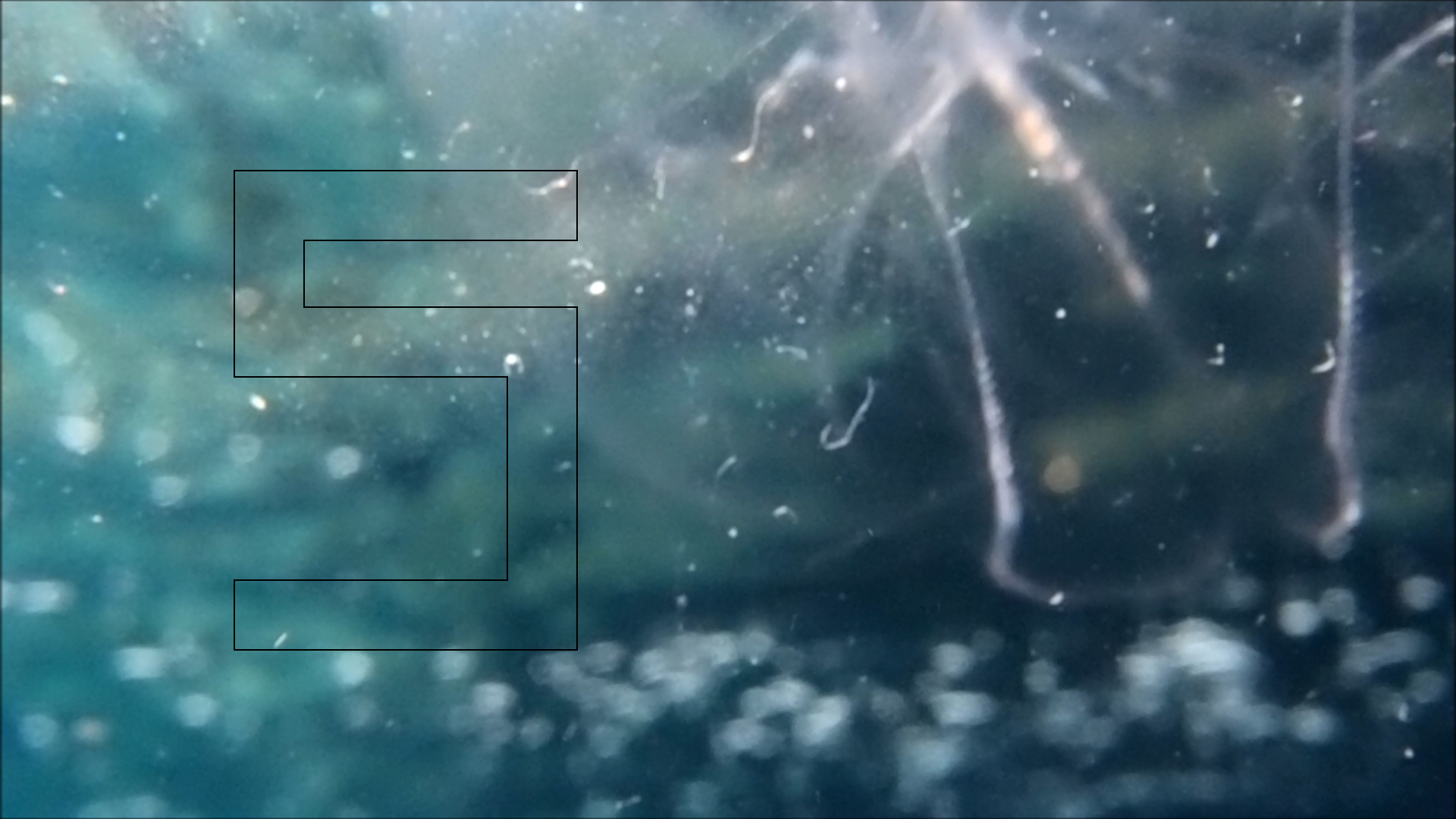 2022-04-14 Am Strand und im Wasser (Quallenvideo, Stills & Numbers) (Typo Grafik, Video)