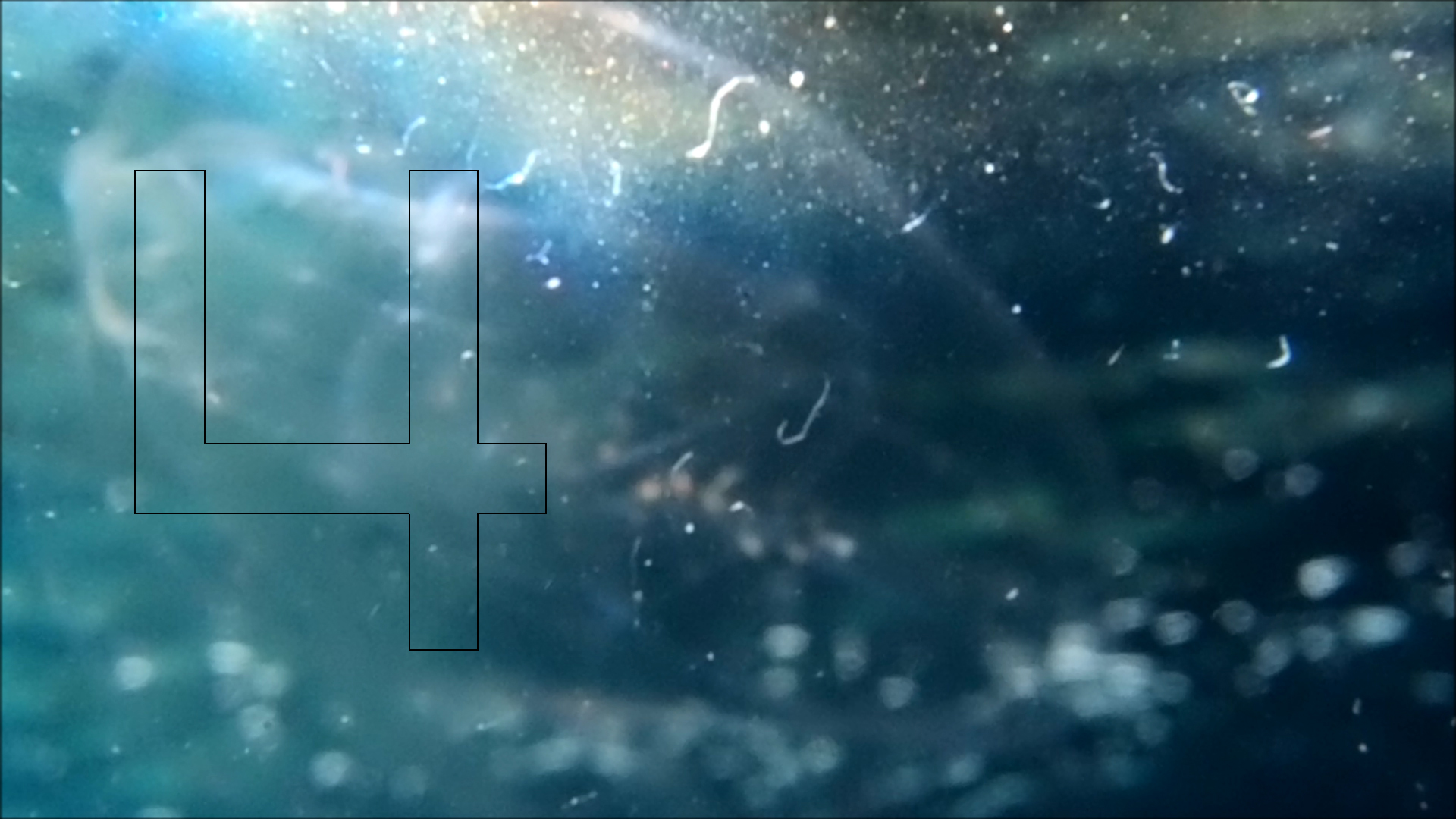 2022-04-14 Am Strand und im Wasser (Quallenvideo, Stills & Numbers) (Typo Grafik, Video)