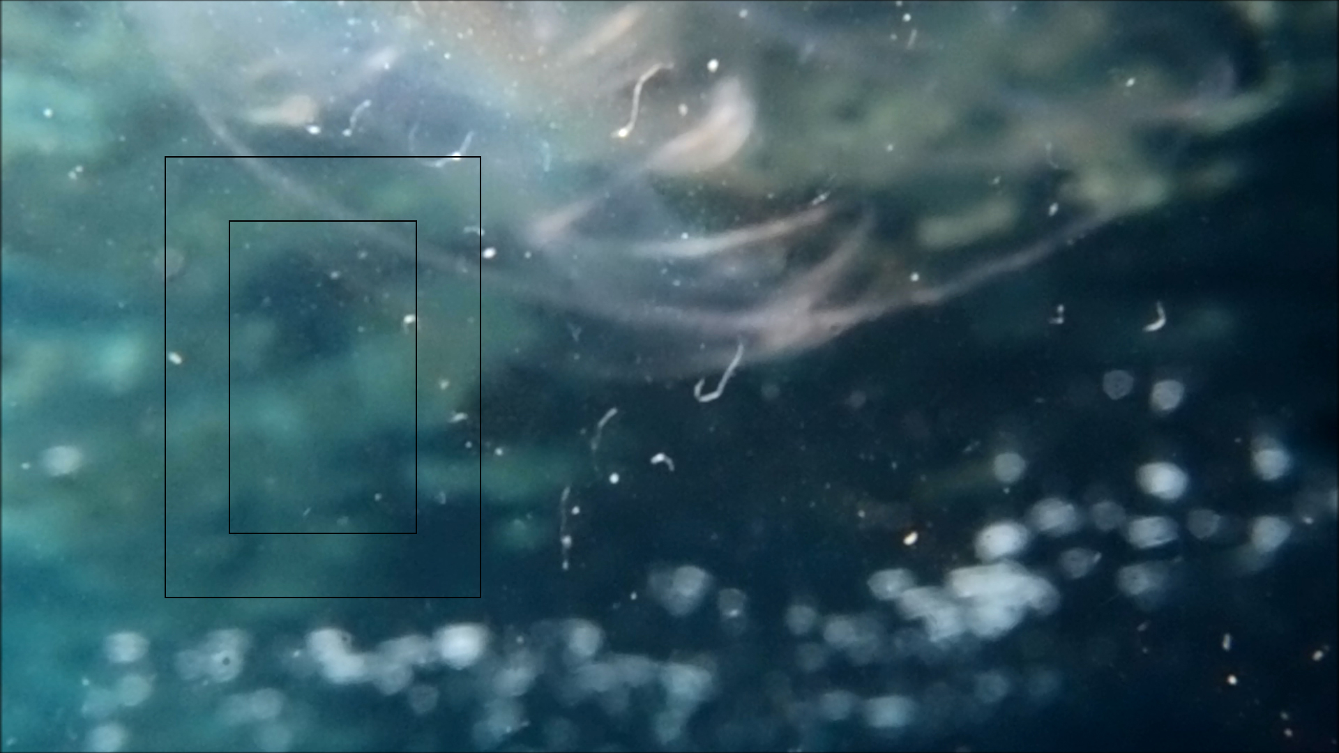 2022-04-14 Am Strand und im Wasser (Quallenvideo, Stills & Numbers) (Typo Grafik, Video)