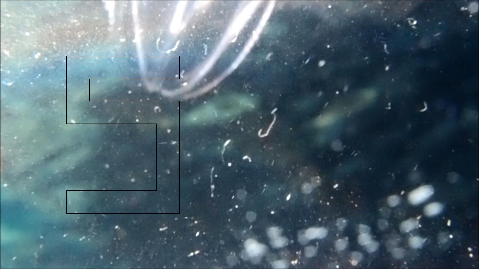 2022-04-14 Am Strand und im Wasser (Quallenvideo, Stills & Numbers) (Typo Grafik, Video)