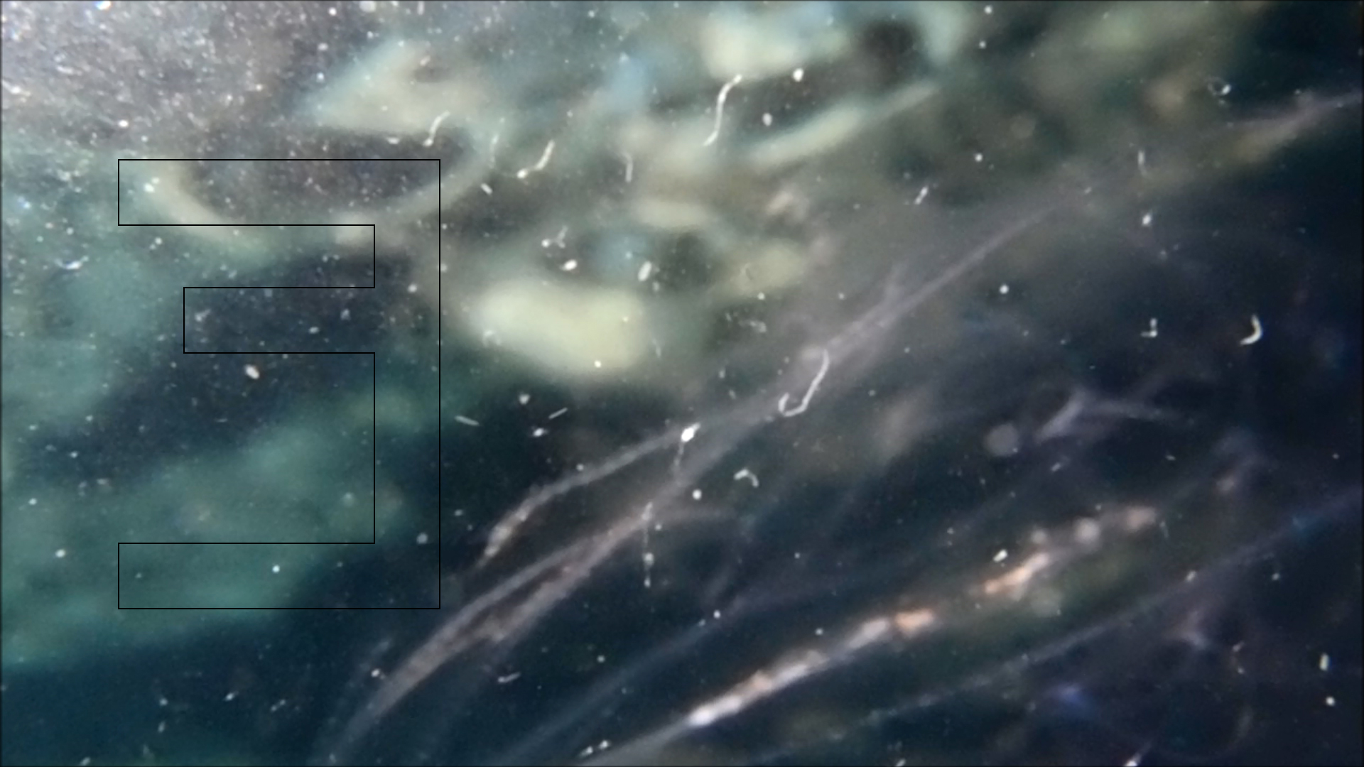 2022-04-14 Am Strand und im Wasser (Quallenvideo, Stills & Numbers) (Typo Grafik, Video)