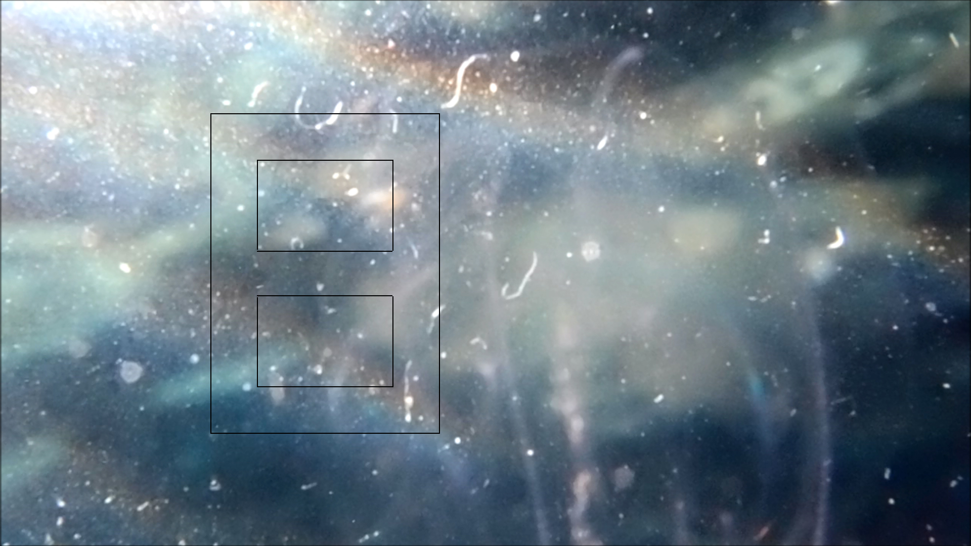 2022-04-14 Am Strand und im Wasser (Quallenvideo, Stills & Numbers) (Typo Grafik, Video)