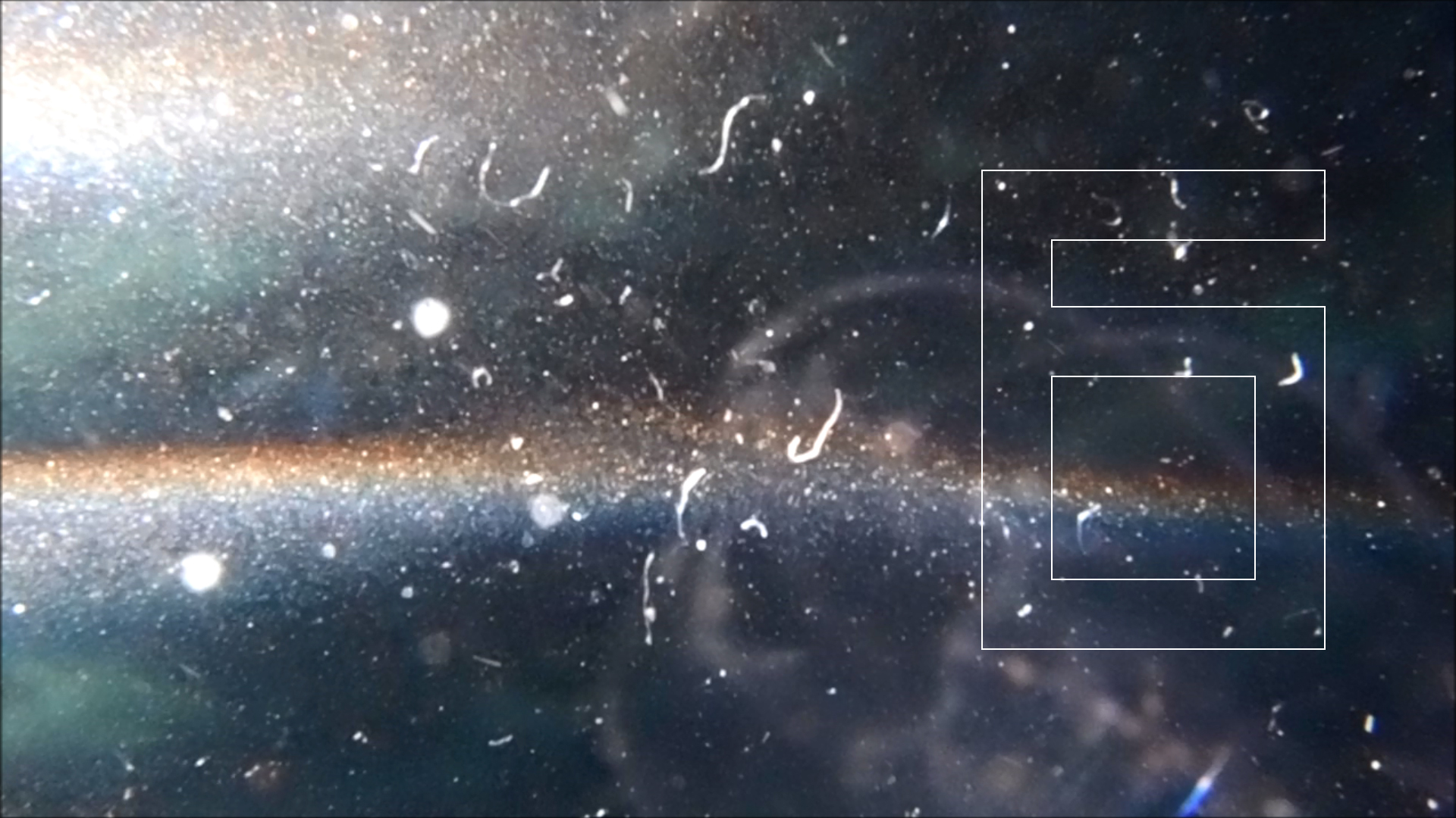 2022-04-14 Am Strand und im Wasser (Quallenvideo, Stills & Numbers) (Typo Grafik, Video)