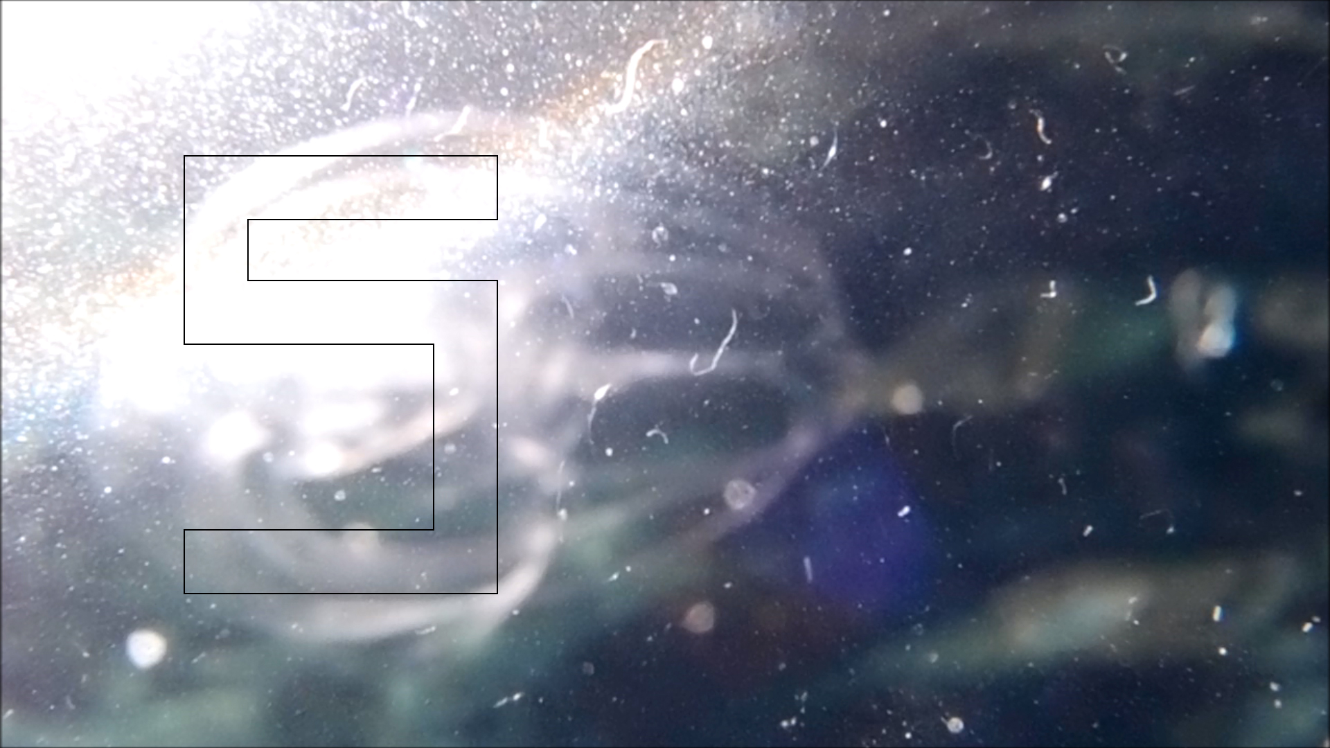 2022-04-14 Am Strand und im Wasser (Quallenvideo, Stills & Numbers) (Typo Grafik, Video)