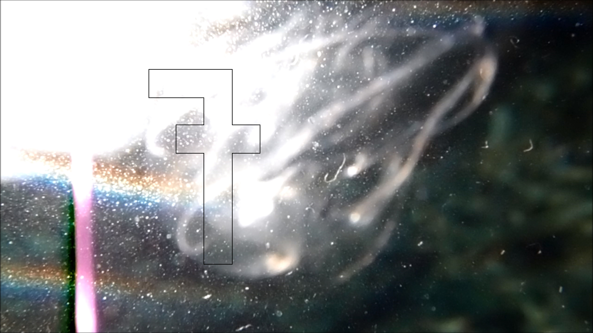 2022-04-14 Am Strand und im Wasser (Quallenvideo, Stills & Numbers) (Typo Grafik, Video)