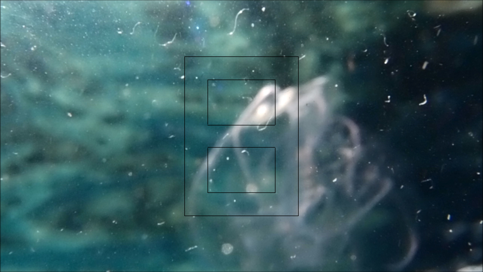 2022-04-14 Am Strand und im Wasser (Quallenvideo, Stills & Numbers) (Typo Grafik, Video)