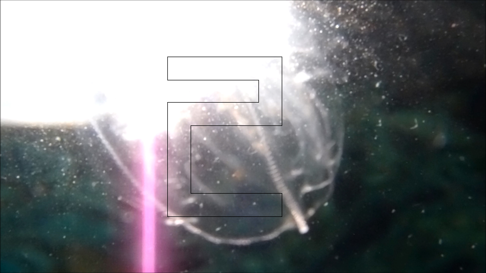 2022-04-14 Am Strand und im Wasser (Quallenvideo, Stills & Numbers) (Typo Grafik, Video)