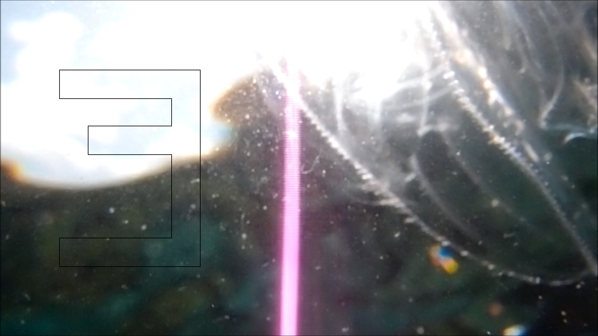 2022-04-14 Am Strand und im Wasser (Quallenvideo, Stills & Numbers) (Typo Grafik, Video)