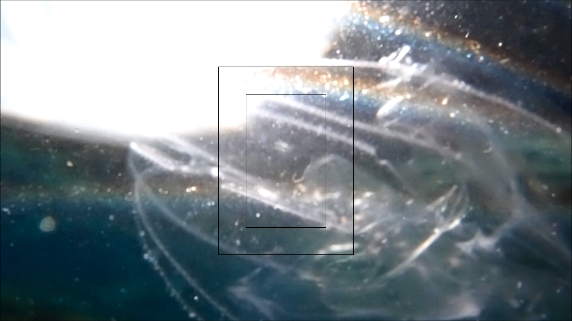 2022-04-14 Am Strand und im Wasser (Quallenvideo, Stills & Numbers) (Typo Grafik, Video)