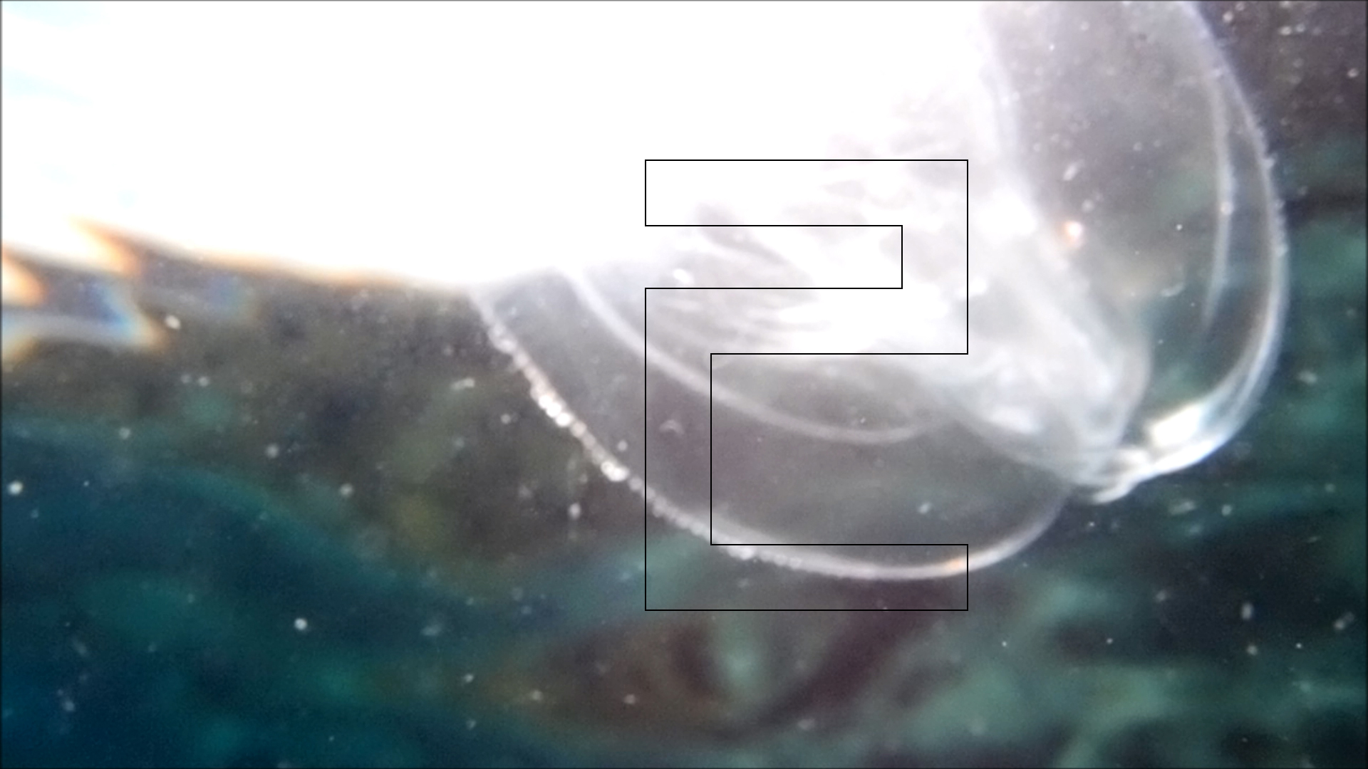 2022-04-14 Am Strand und im Wasser (Quallenvideo, Stills & Numbers) (Typo Grafik, Video)