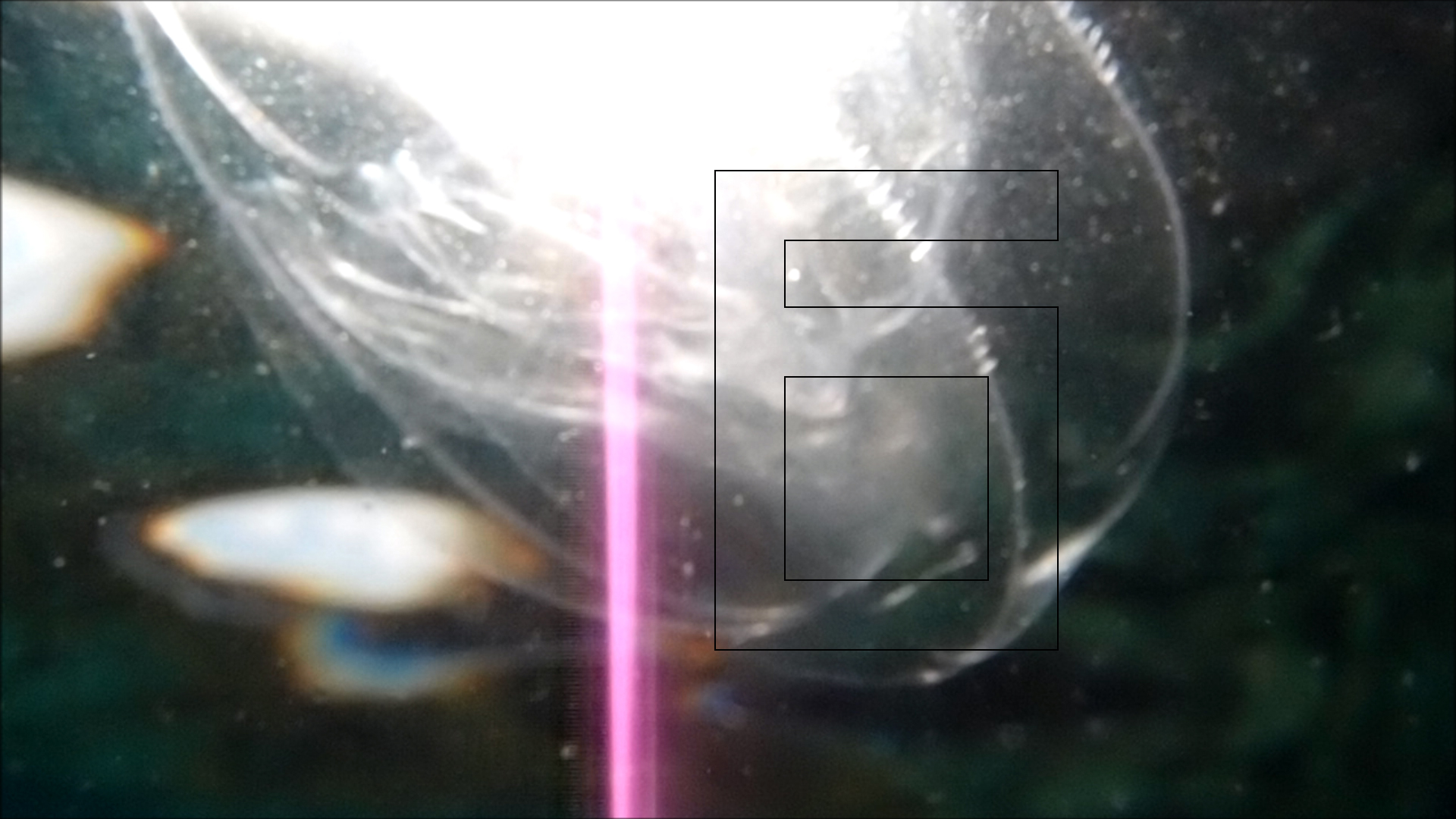 2022-04-14 Am Strand und im Wasser (Quallenvideo, Stills & Numbers) (Typo Grafik, Video)