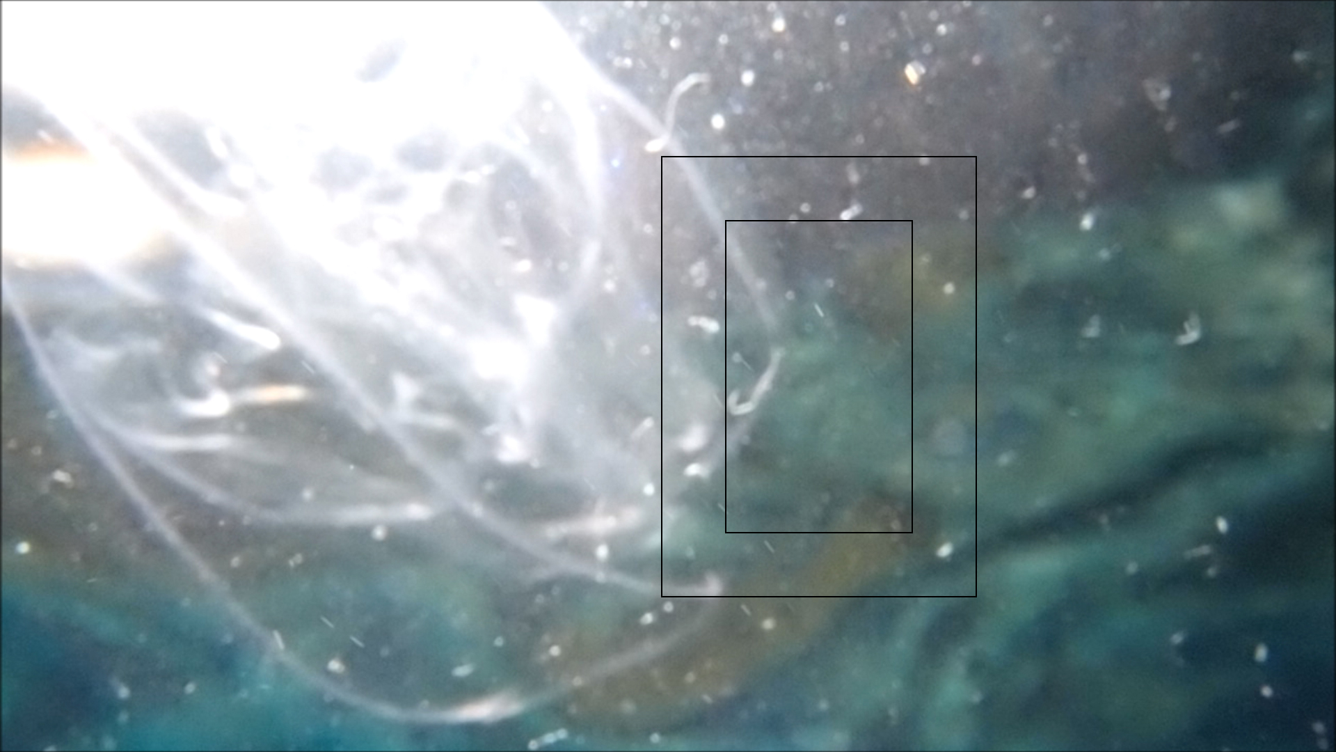 2022-04-14 Am Strand und im Wasser (Quallenvideo, Stills & Numbers) (Typo Grafik, Video)