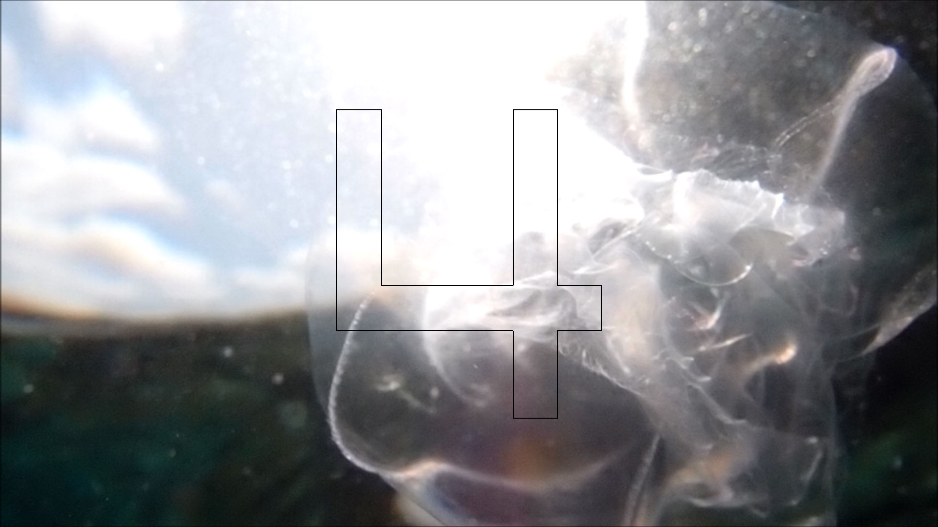 2022-04-14 Am Strand und im Wasser (Quallenvideo, Stills & Numbers) (Typo Grafik, Video)