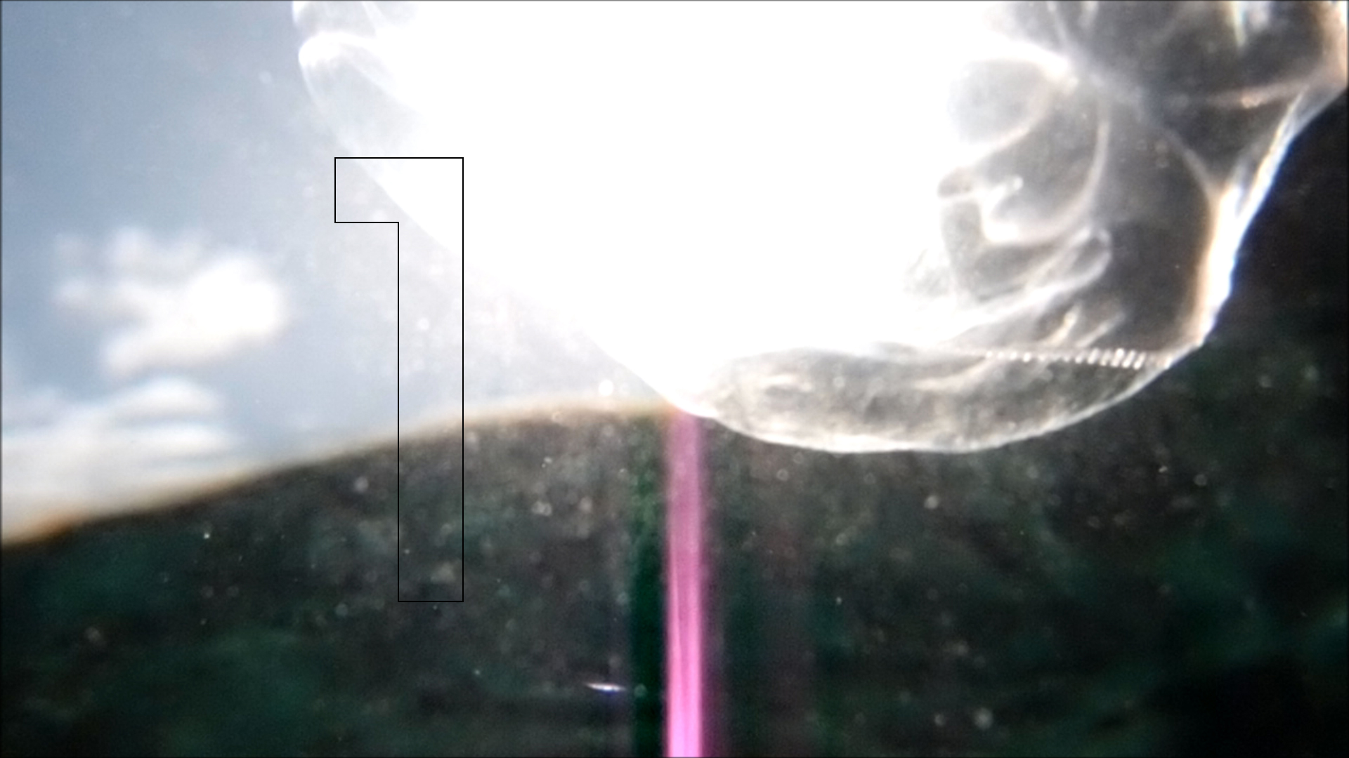 2022-04-14 Am Strand und im Wasser (Quallenvideo, Stills & Numbers) (Typo Grafik, Video)